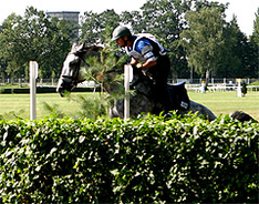 Horse show in Mechelen