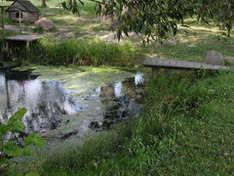 Agro tourism in Poland – charm of the Polish country