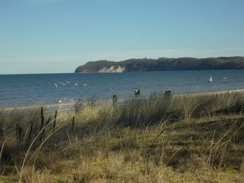 Пляж и дюны на Балтийском море