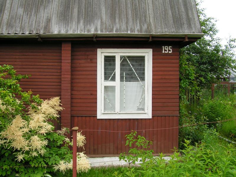 Деревянный дачный дом среди зелени