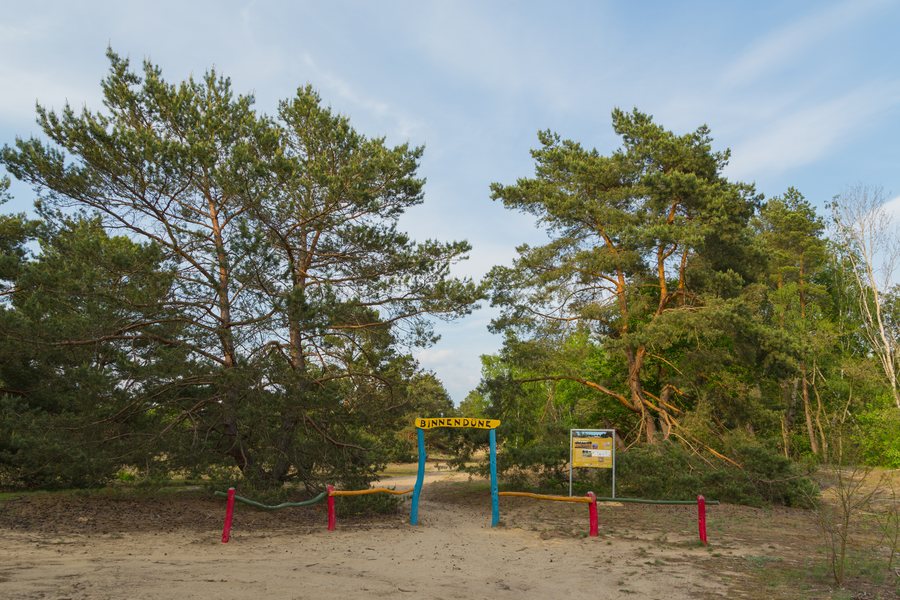File:Storkow Binnenduene Waltersberge 01.jpg