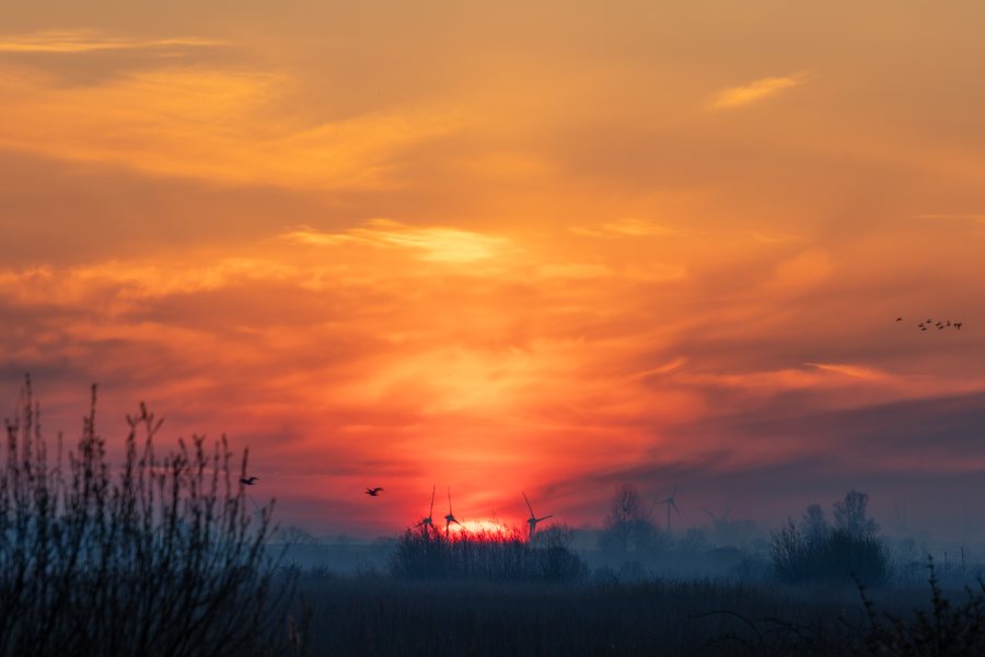File:Sonnenaufgang Krummhörn-msu-4238-5261.jpg