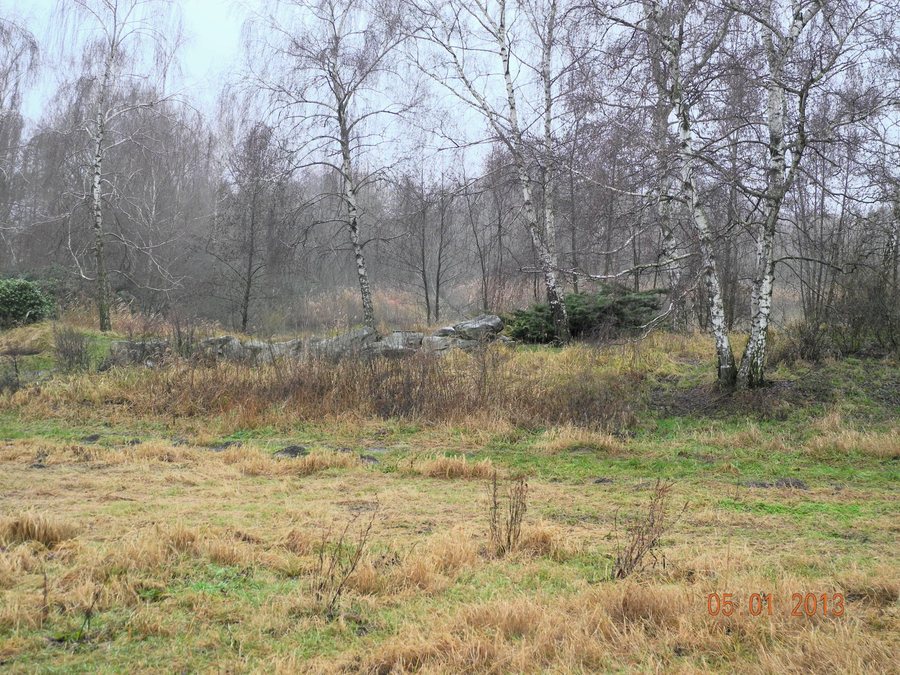 File:NLD Großsteingrab Süpplingenburg.jpg