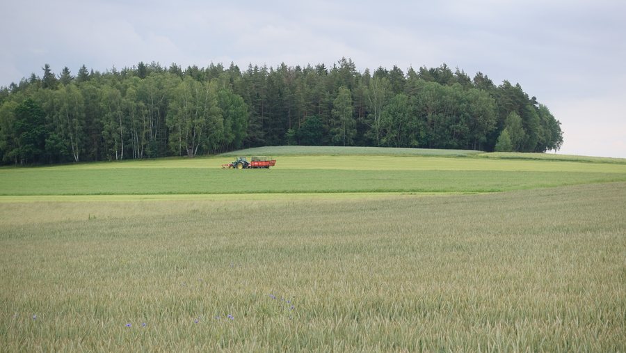 File:Marktredwitz - Juni 2019 - Oberberg.jpg
