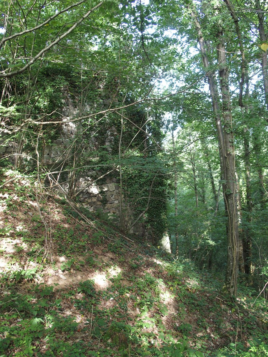 File:CDF de la Loire-Saint Marcel de Félines-pont St Marcel (vestige d'une culée en pierre).jpg