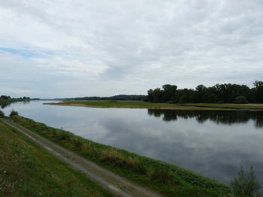 File:La Bohalle (49) La Loire - 01.jpg