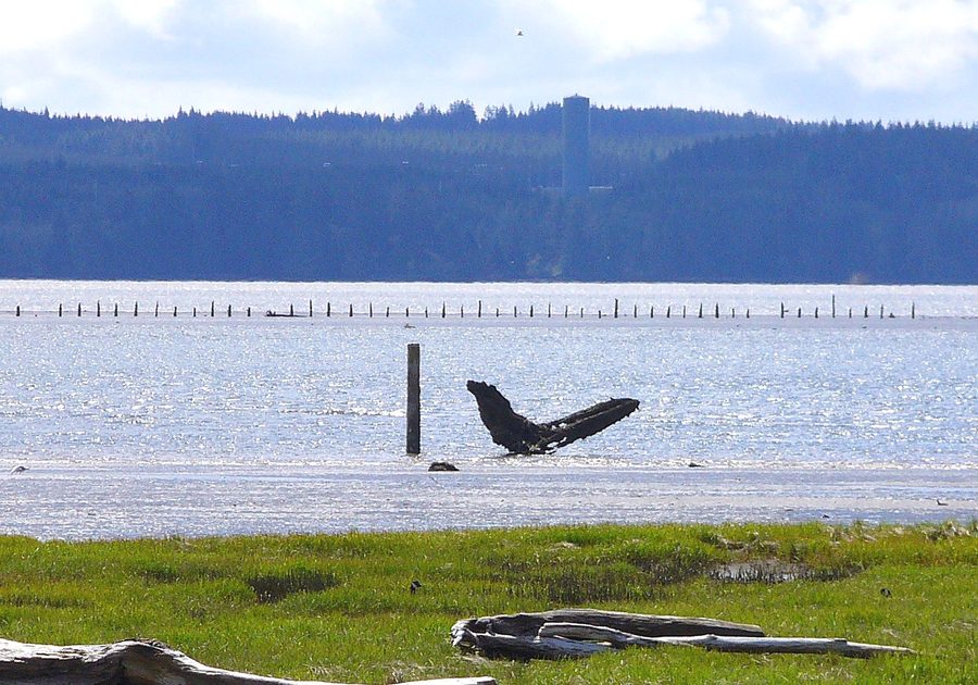 Вид на Grays Harbor из Хокьюэма, штат Вашингтон