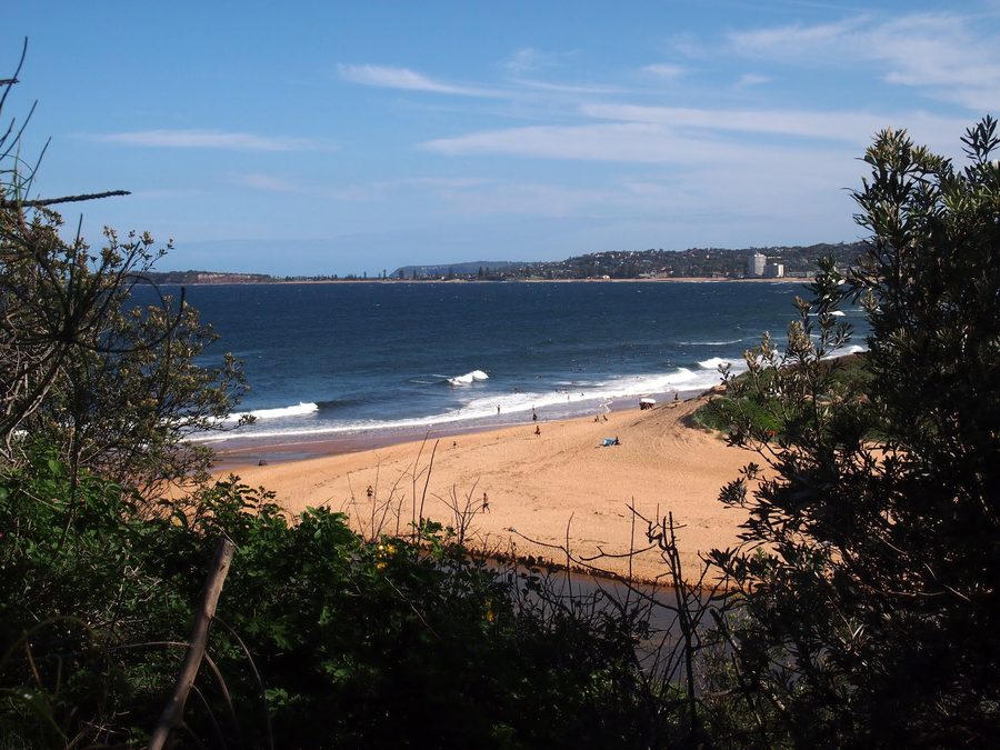 Narrabeen Lagoon с водой и береговой линией