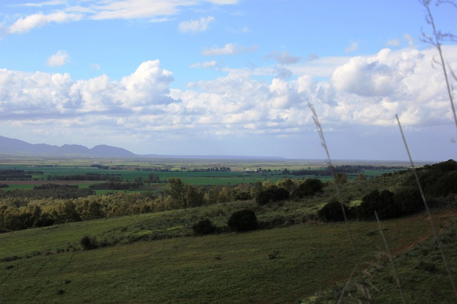 File:Campidano di Oristano (01).jpg
