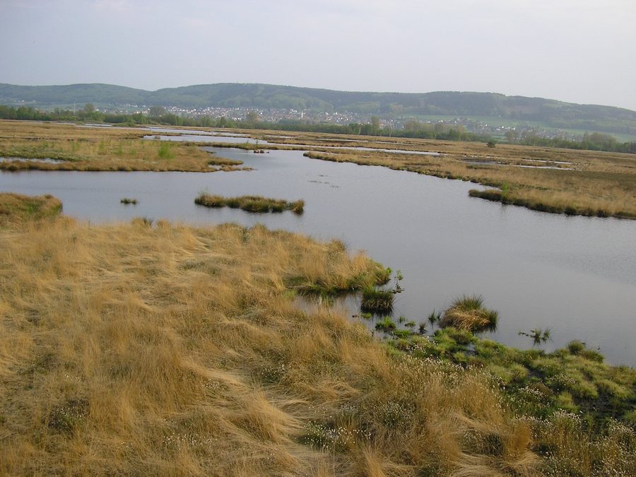 Озеро Großes Torfmoor в Люббекке, Северный Рейн-Вестфалия