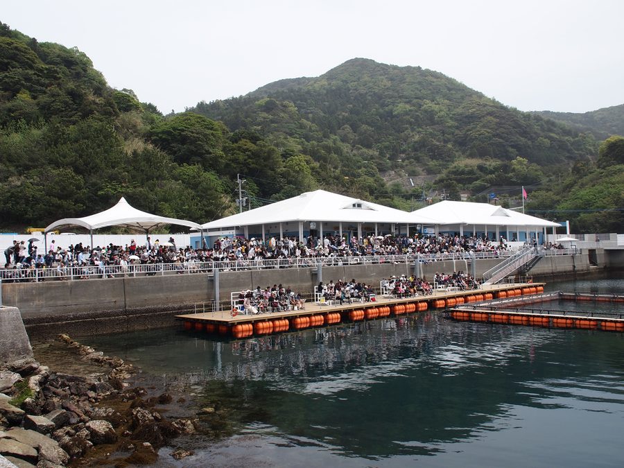 Tsukumi Dolphin Island в Цукуми, Оита, Япония