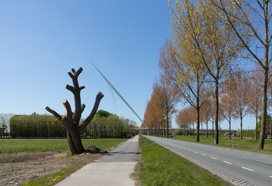 Мост Calatrava de Harp через Hoofdvaart в Nieuw-Vennep