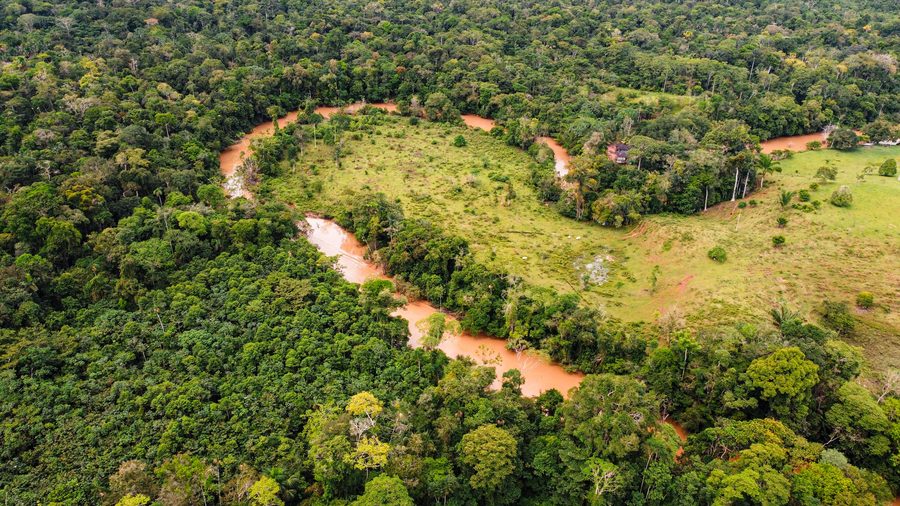 Flusswege durch den unteren Putumayo mit Wald und abgeholzter Fläche am Ufer