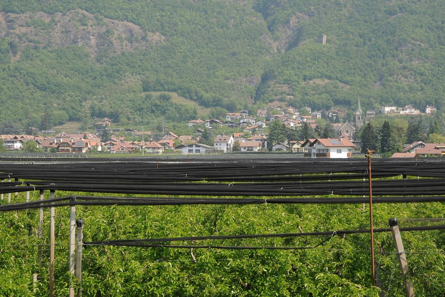 Гаргацон, вид с велосипедной дорожки вдоль Этша