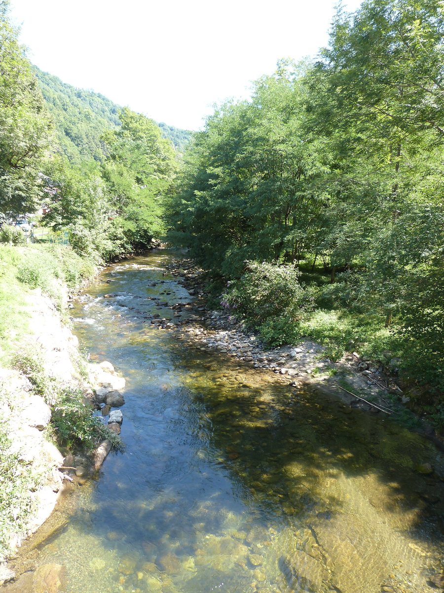 File:Rivière Arac à Biert.jpg