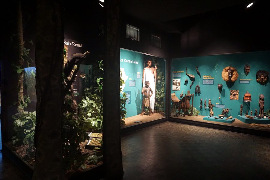 Экспозиционная витрина в Milwaukee Public Museum с разделом, посвящённым Центральной Африке.