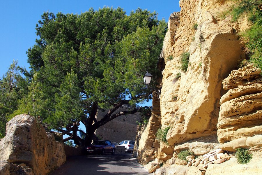 File:Miramas-Pin-d-Alep.jpg