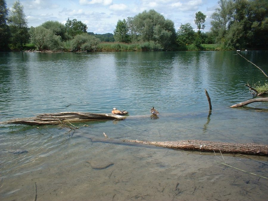 Флахзее в кантоне Аргау