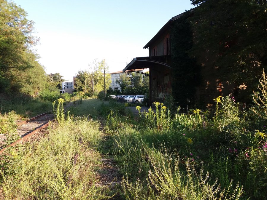 File:Neuville-sur-Saône - Ancienne gare, voies sous les herbes.jpg