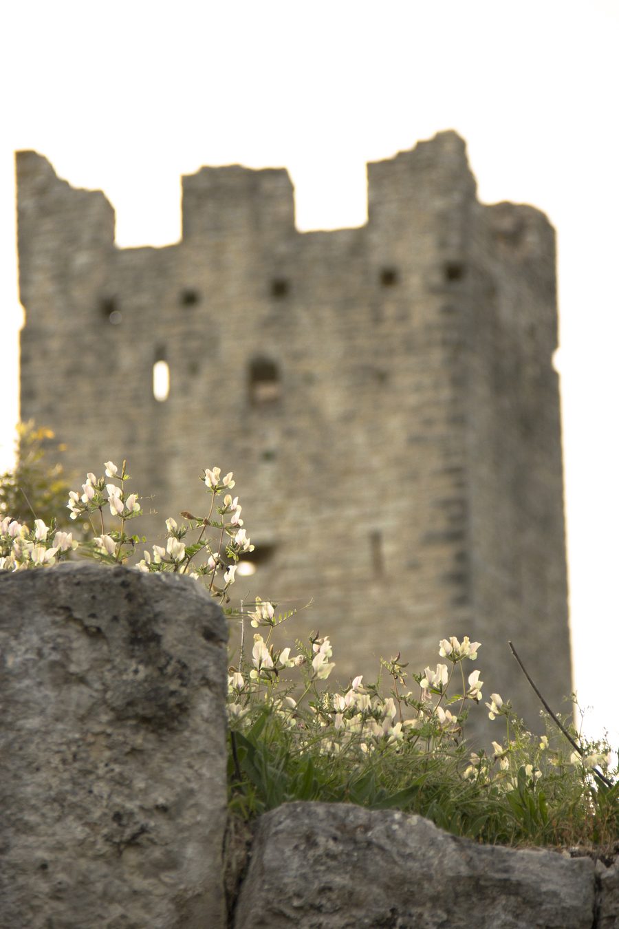 Ruinen von Dvigrad Castle in der weiteren istrischen Umgebung