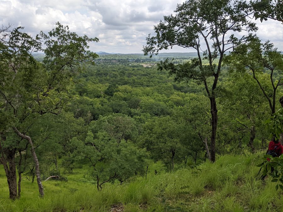 Paysage du Parc National Fazao-Malfakassa