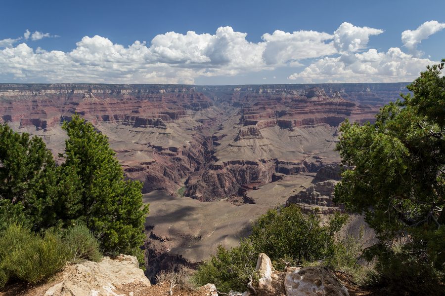 Вид на Гранд-Каньон со South Rim в Аризоне