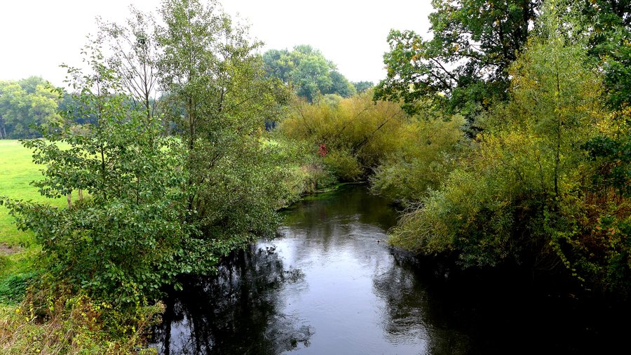 File:Walmstorf (Emmendorf) - Ilmenau (Fluss).jpg