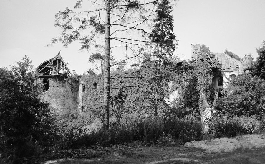 Исторические руины замка Мехельгрюн, первоначально средневековая водная крепость