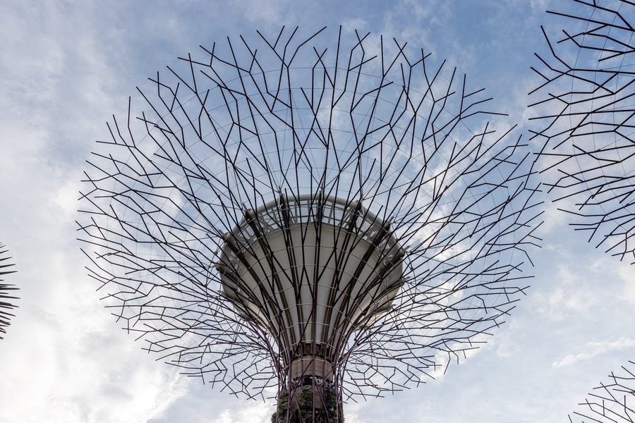 Supertrees в Gardens by the Bay в Сингапуре