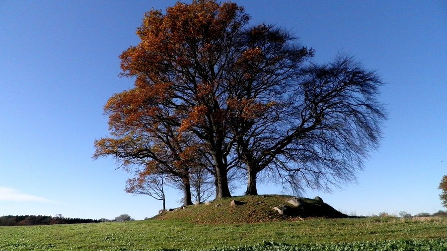 Neolithischer Langdolmen von Løkkeby auf Langeland