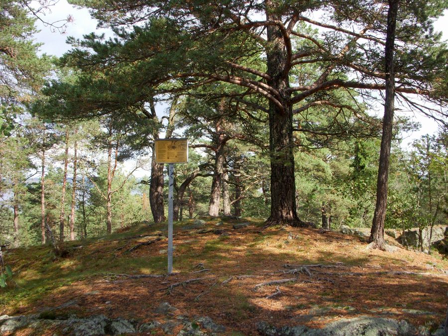 Bronzezeitlicher Grabhügel an der Hallunda-Kulturspur in Botkyrka