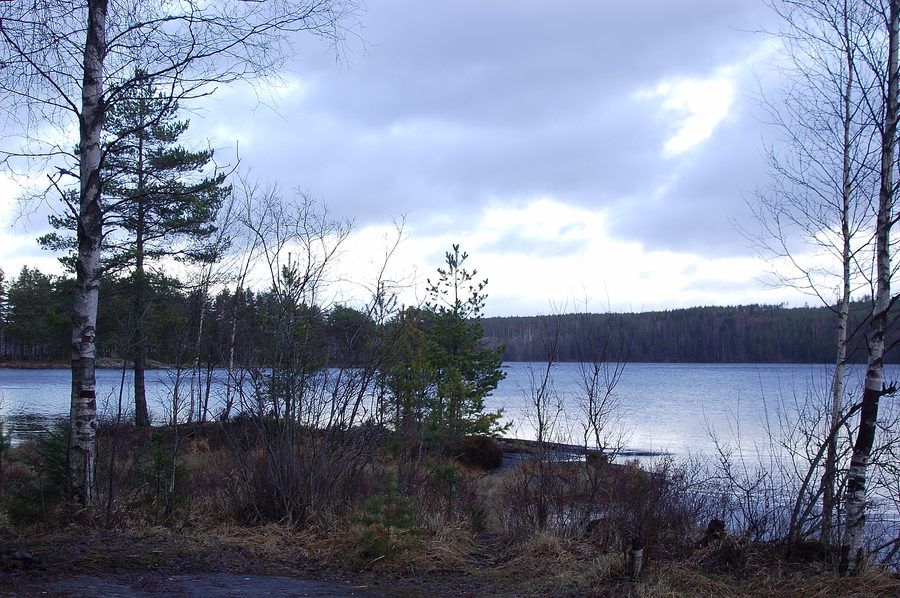 Gränssjön vid Storviken i Glaskogens naturreservat