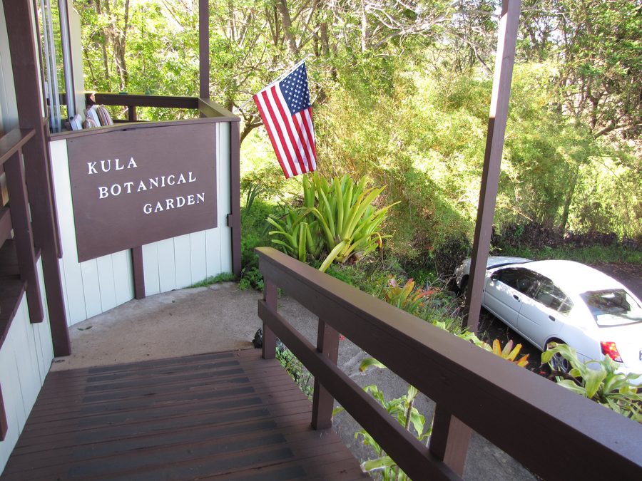 Растительность с информационным указателем в Kula Botanical Garden на Мауи