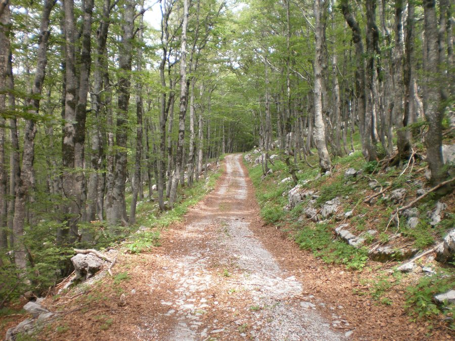 File:Stinica, Croatia - panoramio (1).jpg