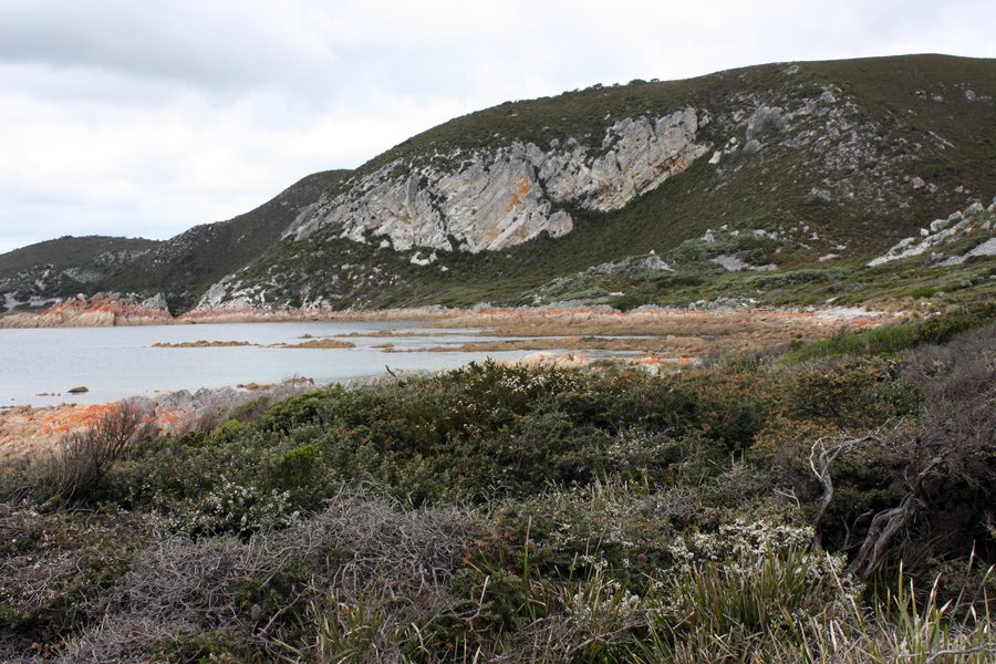 Küstenlandschaft im Rocky Cape National Park auf Tasmanien