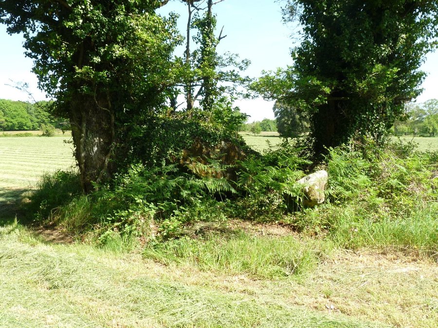 File:Massignac dolmen.JPG