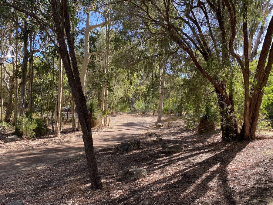 Landschaft im Yanchep National Park in der City of Wanneroo, Western Australia
