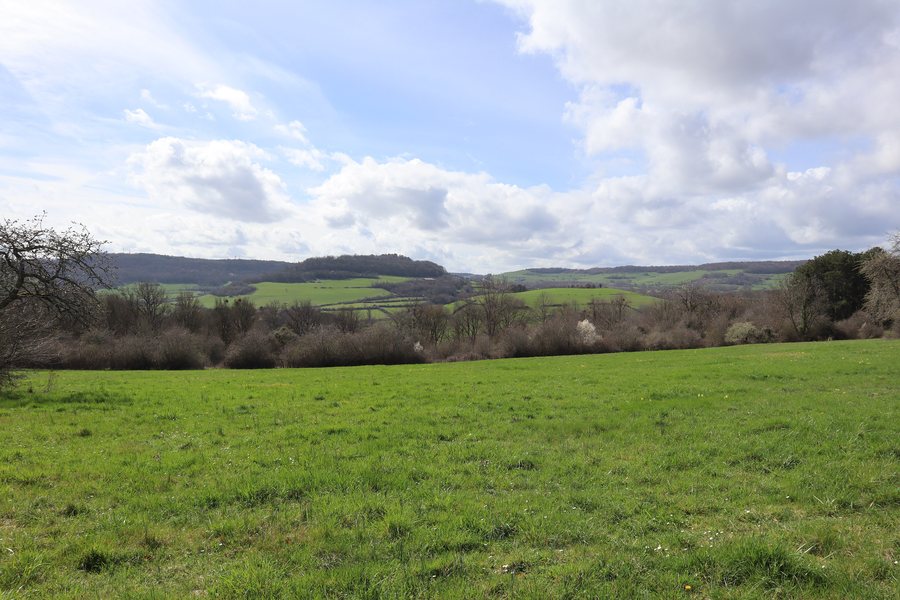 File:Mesmont (21) Bressiot vu depuis le Chaigneau en Mâlain.jpg