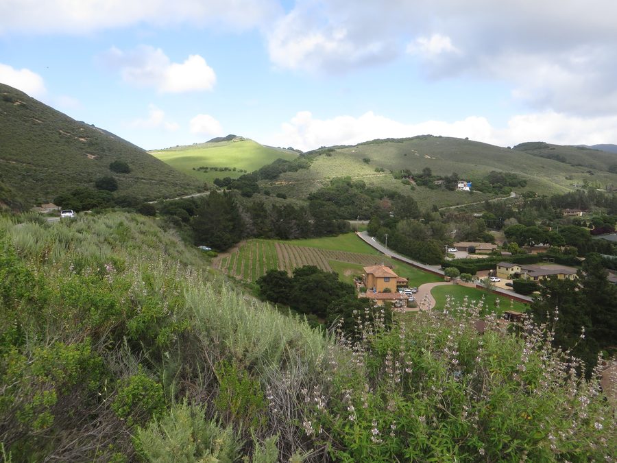 Вид на Carmel Valley Village и окружающие внутренние холмы в округе Монтерей, Калифорния
