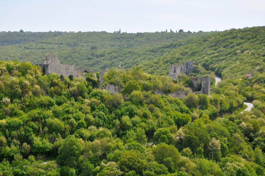 Ruins of the abandoned medieval castle of Dvigrad in Istria, Croatia