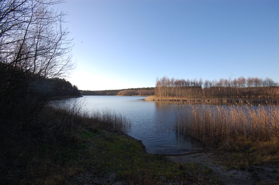 Озеро Длугие возле Рогово в Жнине, Польша