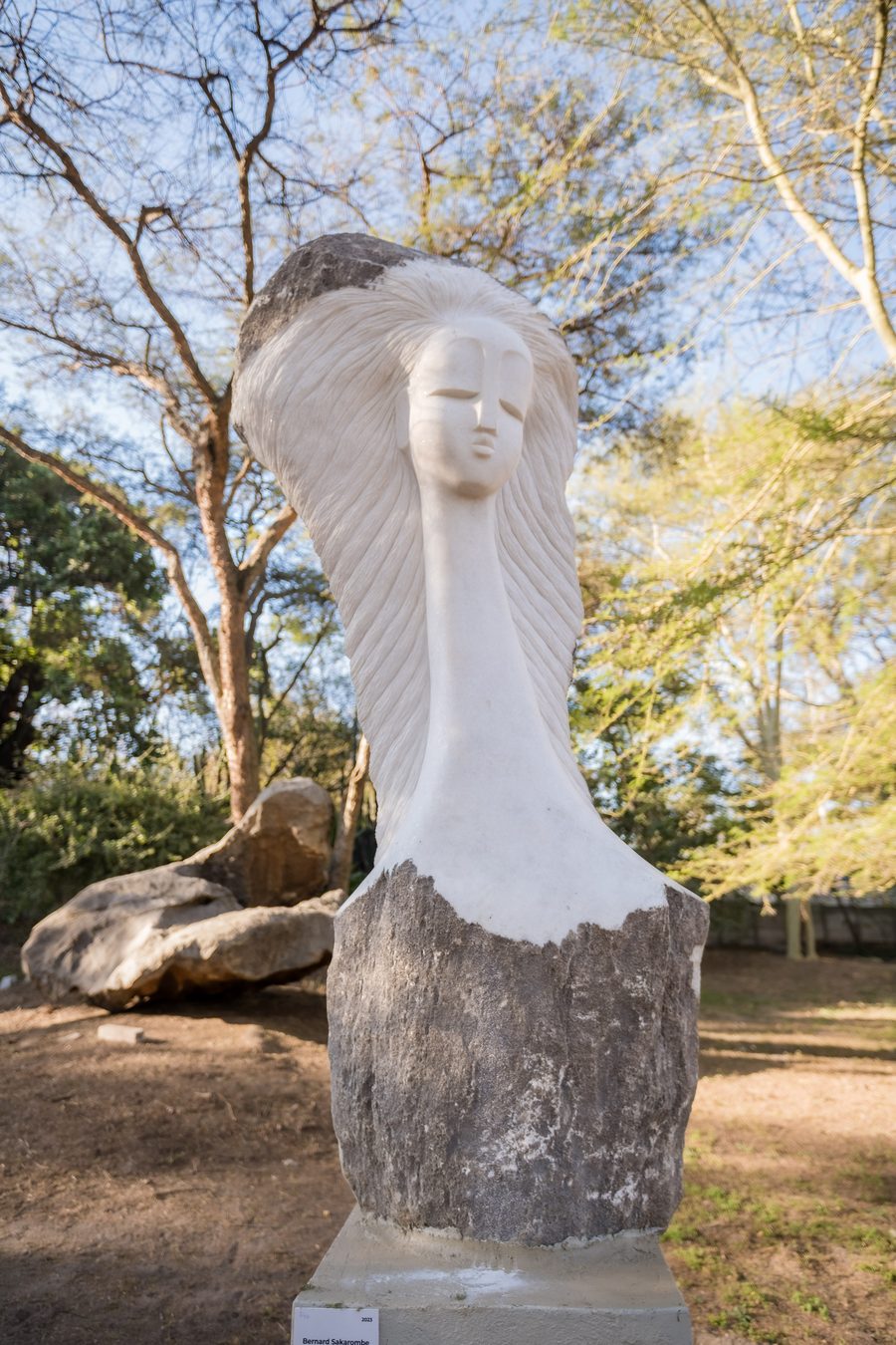 Каменная скульптура в Chapungu Sculpture Park в Хараре