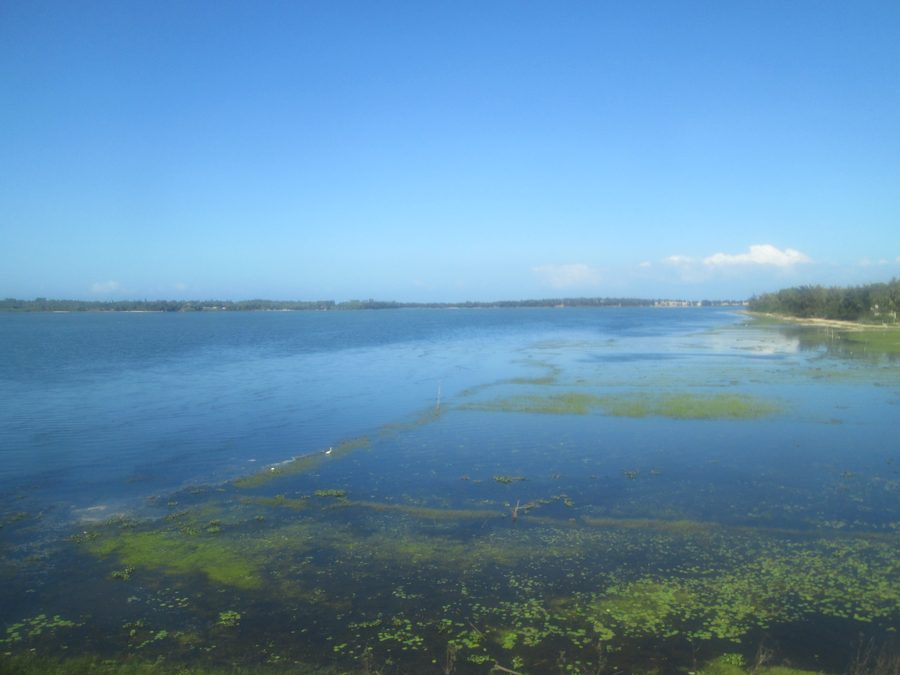 Landschaft der An-Khê-Lagune in Đức Phổ, Quảng Ngãi