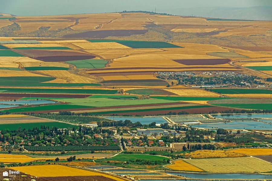 Landwirtschaftliche Felder rund um Nir Dawid im Tal der Quellen