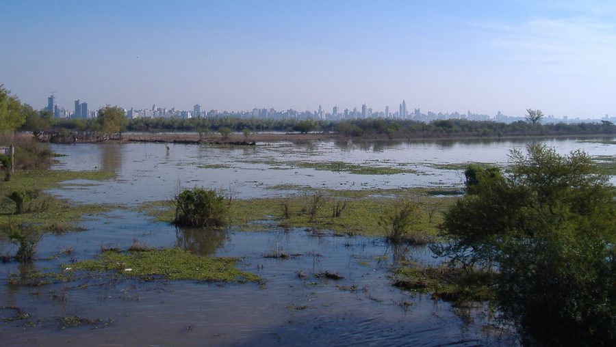 Paraná River wetlands with Rosario in the distance.