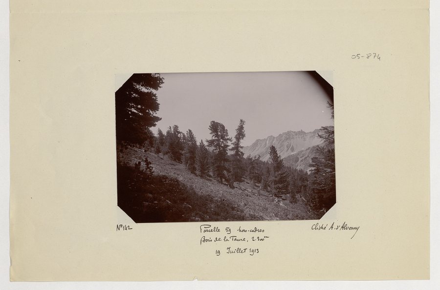 File:Commune de Villar-Saint-Pancrace (haut de la parcelle 60 au lieu-dit des Ayes dans la forêt communale, parcelle 59 hors-cadre dans la forêt communale) - d'Alverny - btv1b10686194r.jpg