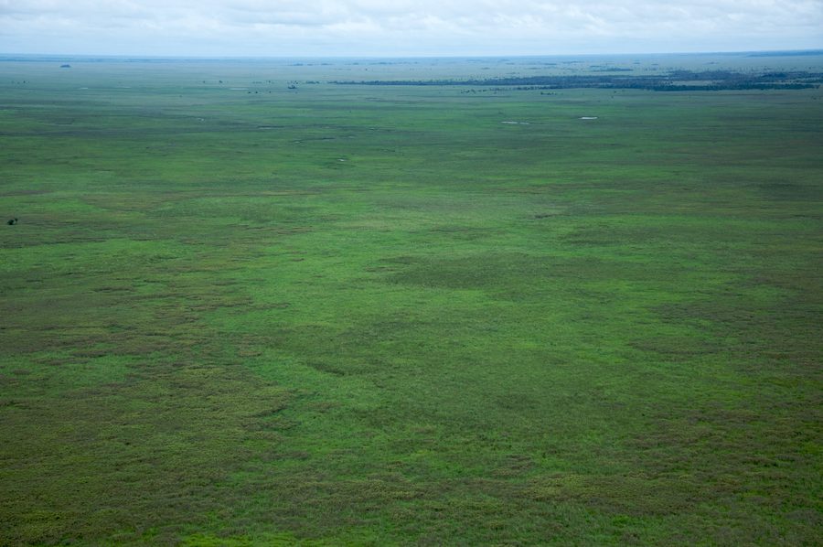 Vista aérea de la sabana del Beni en Bolivia