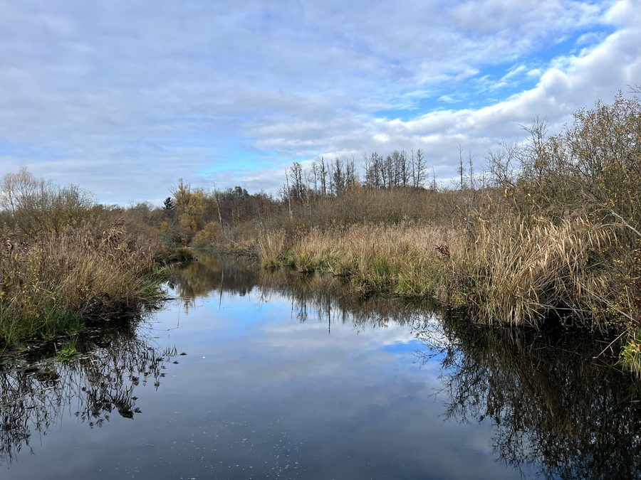 Aussicht vom Eichwerdersteg auf das Tegeler Fließ in Berlin-Hermsdorf