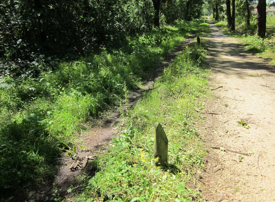 File:Woudweg, Nijkerk, Netherlands. - panoramio.jpg
