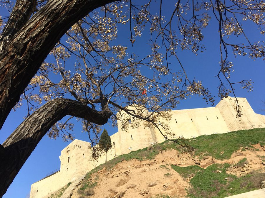 Burg von Gaziantep auf einem Hügel über der Stadt